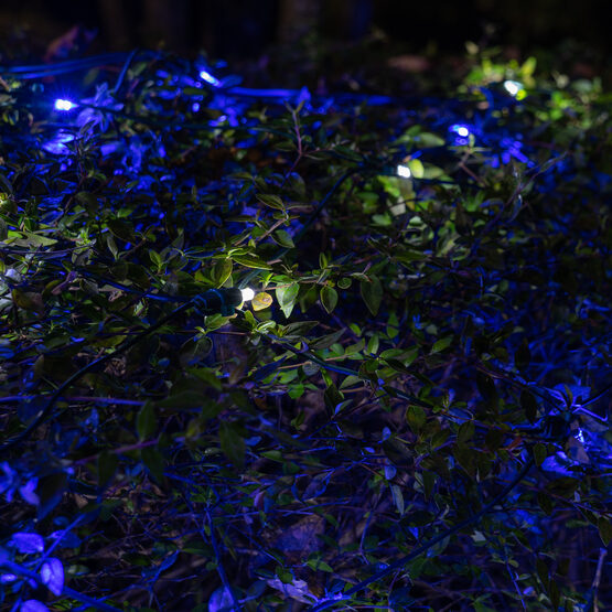 4' x 6' 5mm SoftTwinkle LED Net Lights, Blue, Cool White, Green Wire