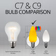 C9 Smooth OptiCore LED Light Bulbs, Multicolor Twinkle