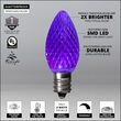 C7 LED Light Bulbs, Purple, by Kringle Traditions TM 