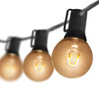 10' Patio String Light Set, 10 Warm White G50 FlexFilament TM LED Glass Bulbs, Black Wire