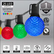 25' Globe String Light Set, 25 Multicolor G50 OptiCore LED Bulbs
