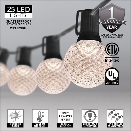 37' Globe String Light Set, 25 Warm White G50 OptiCore LED Bulbs, Black Wire