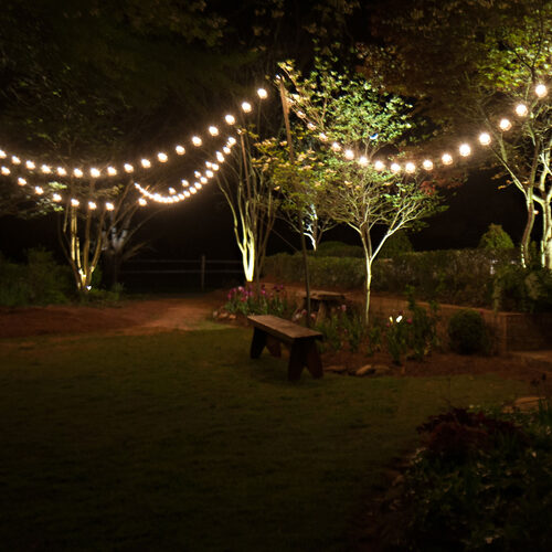 10' Patio String Light Set, 10 Warm White G50 FlexFilament TM LED Shatterproof Bulbs, Black Wire