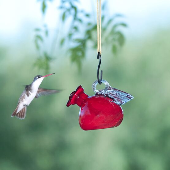 Pixie Hanging Glass Hummingbird Feeder
