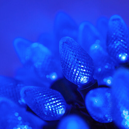 C7 Commercial LED String Lights, Blue, Green Wire