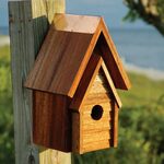 Wild Bird Houses - Yard Envy