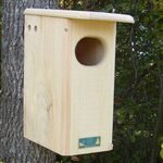 Wild Bird Houses - Yard Envy