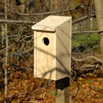 Recycled Bird Houses - Yard Envy