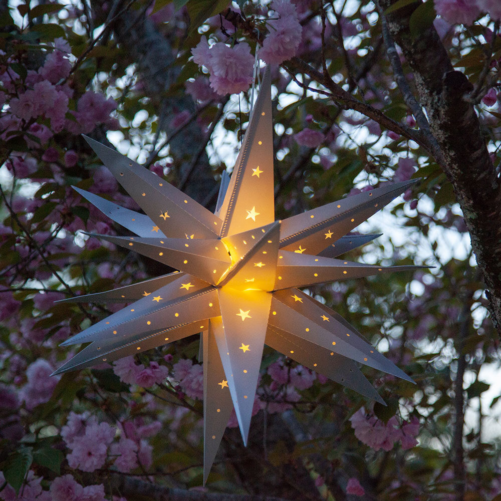 Aurora Superstar Lights Hanging From A Flowering Tree