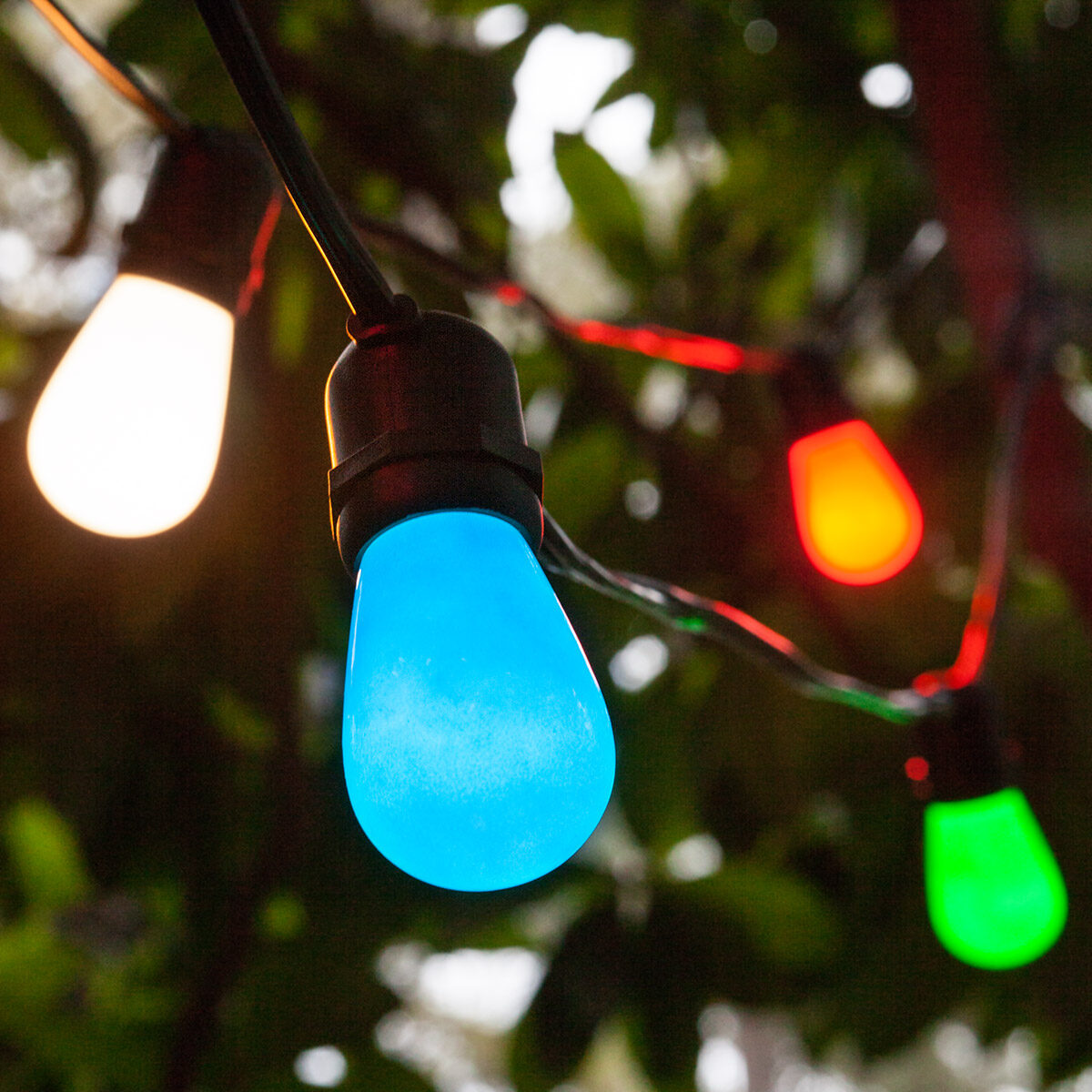 Colored store patio lights