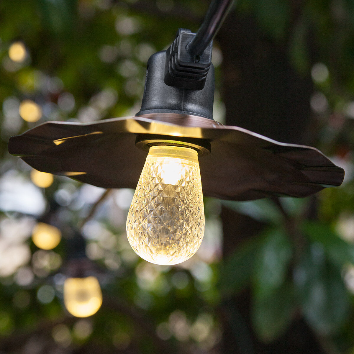 Warm White LED Lights on Black Wire with Copper Cafe Shades