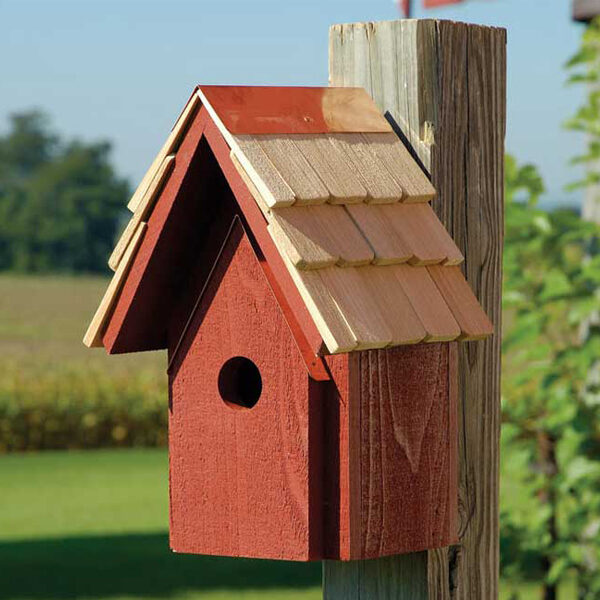 blue bird houses