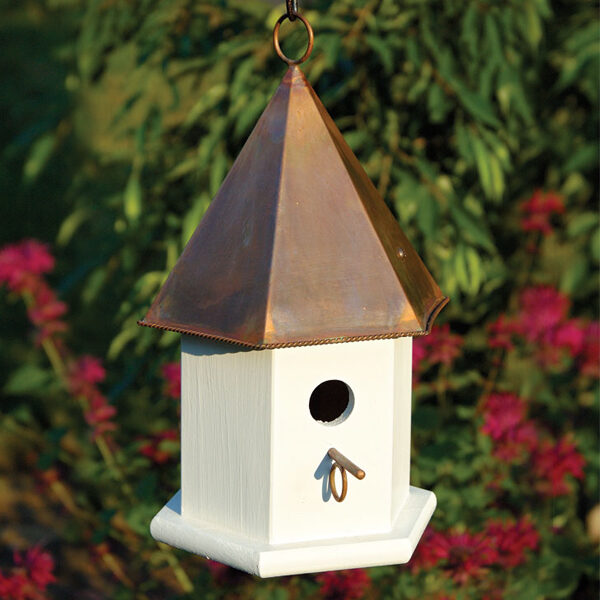 cat icon copper top bird houses 2015