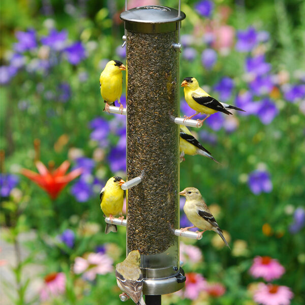 tube bird feeders