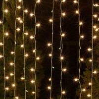 Outdoor String Lights Yard Envy Incandescent Mini String Lights