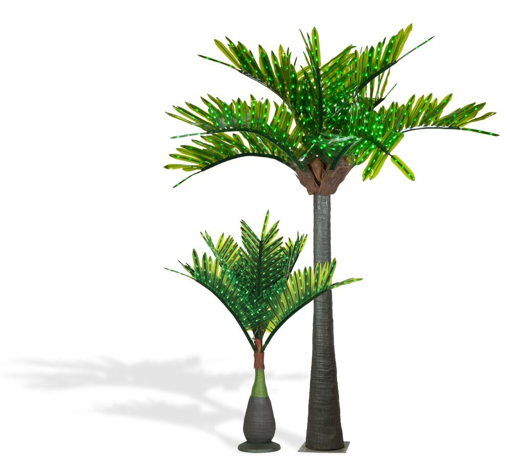 Lit Palm Trees