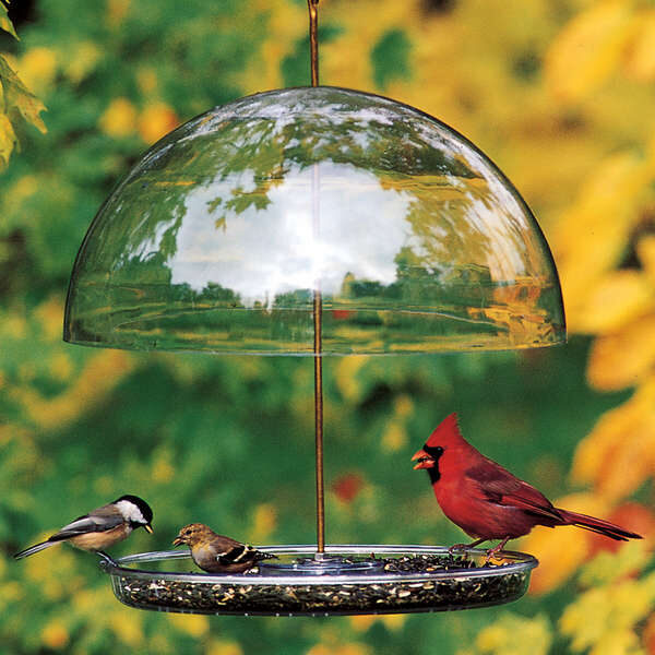 platform bird feeder