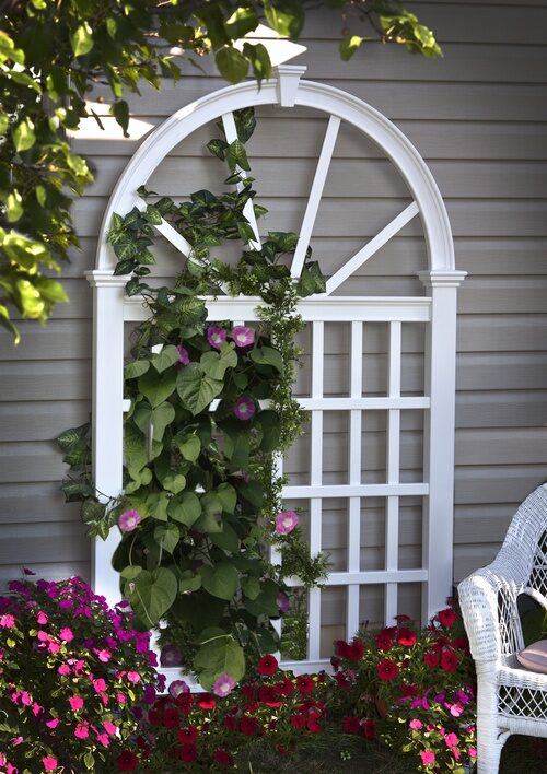 Climbing flowers grow to new heights with the support of a decorative garden trellis!