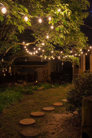 Hang clear patio lights between trees for outdoor party lighting.