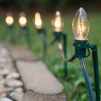 Clear Incandescent Pathway Lights