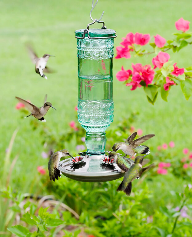 bird feeder with flowers