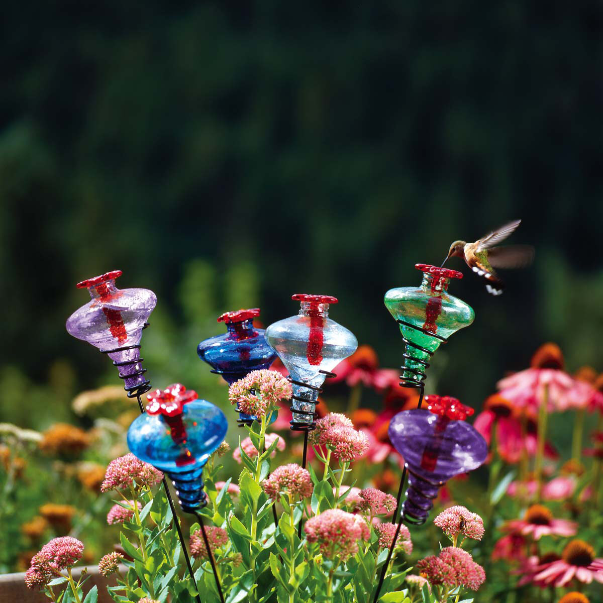 glass hummingbird feeders
