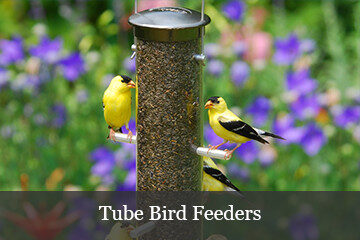 Tube Bird Feeders