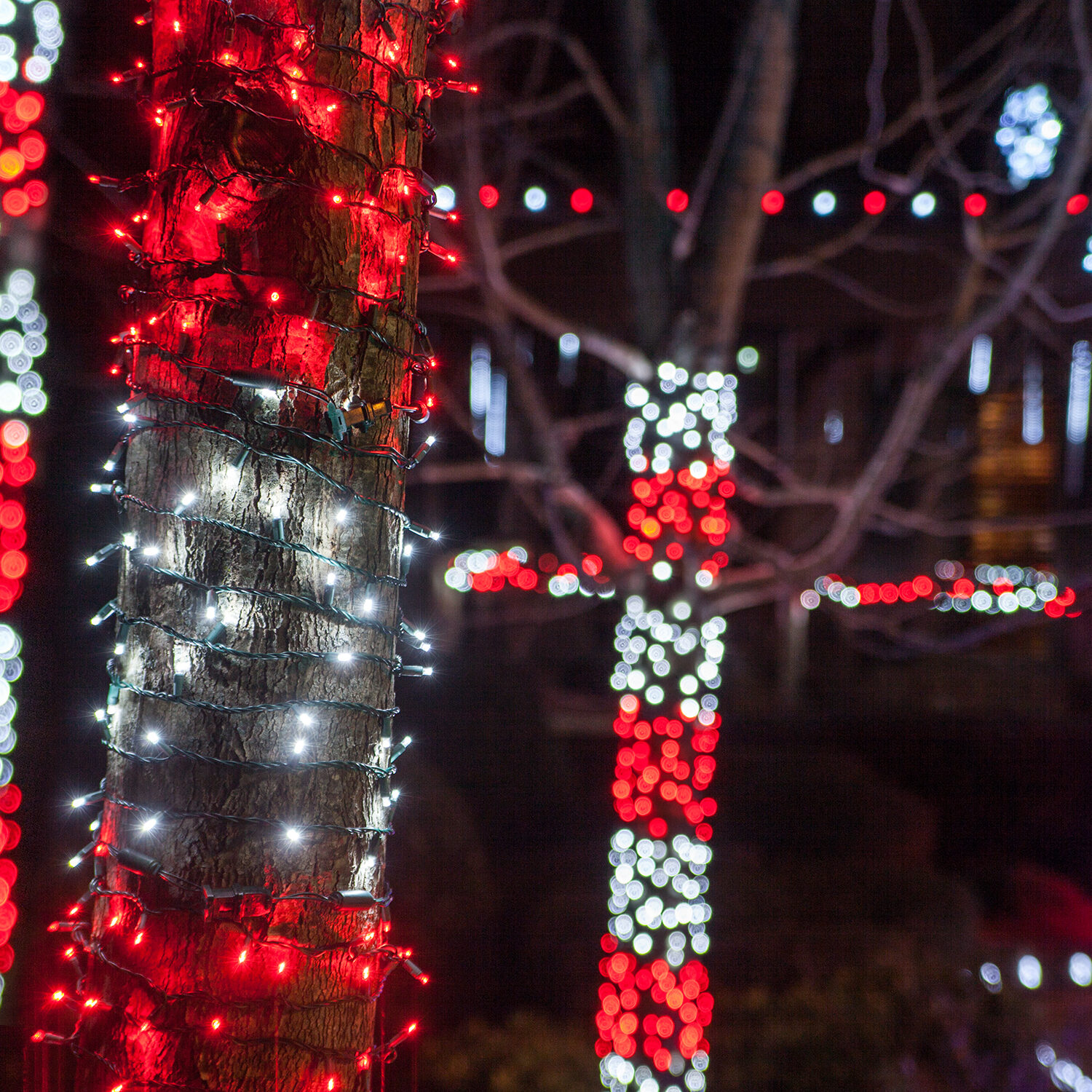 outdoor tree icicle lights