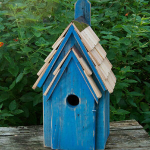 Bird House For Bluebirds