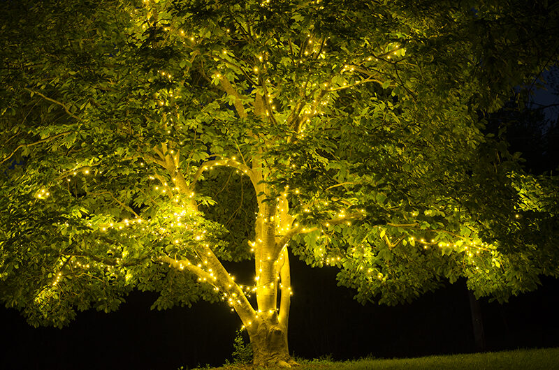 Tree Lights For Spring And Summer, Outdoor String Lights For Trees
