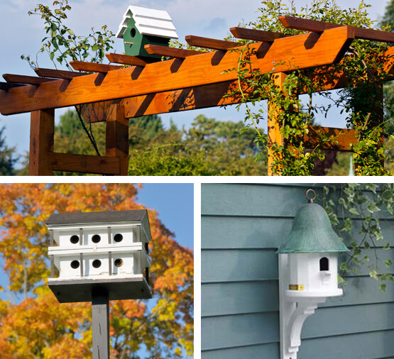 Bird House Hanging and Mounting Locations