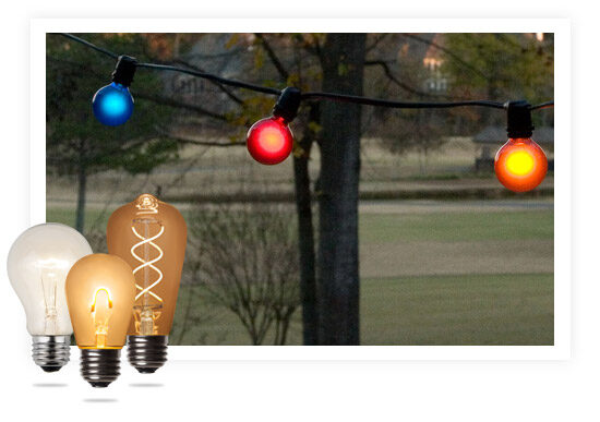 E26 Base Light Bulbs