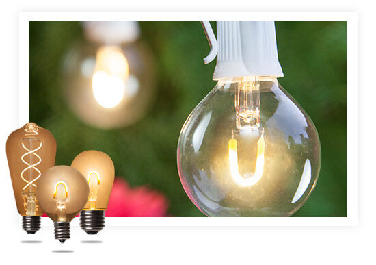 Edison Bulbs on White String Lights