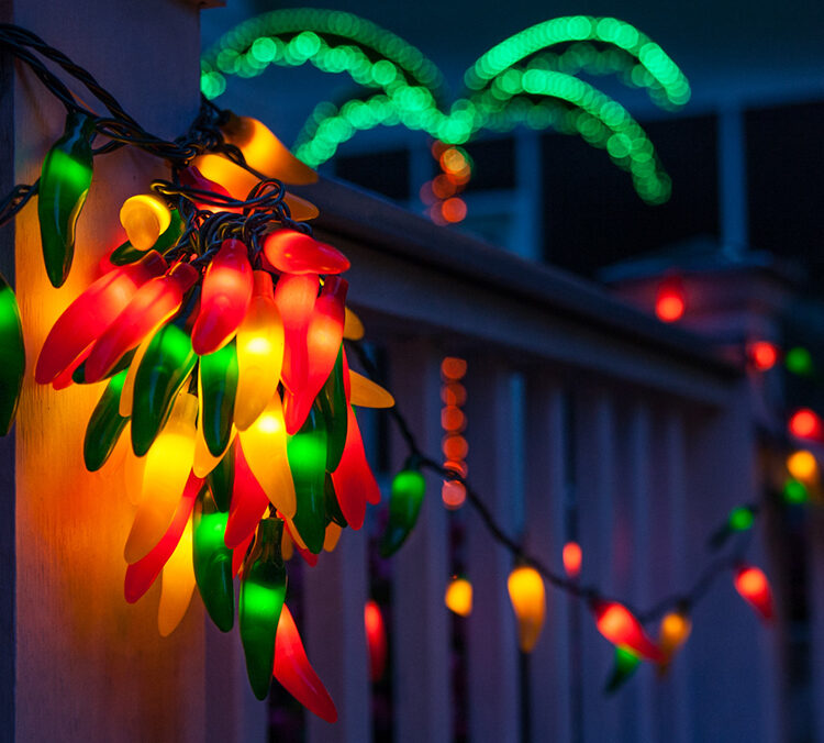 Outdoor Party Lights