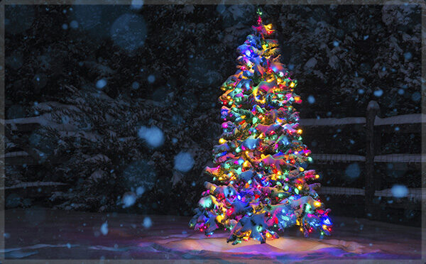 Winter Wonderland with Christmas Lights
