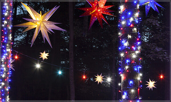 Red, White & Blue Light Wrapped Trees