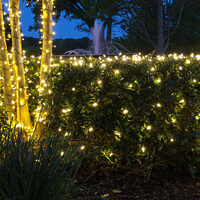 Holiday Lights Yard Envy