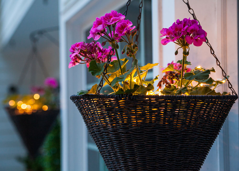 Gold LED Outdoor Fairy String Lights, Gold Wire