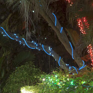 Outdoor Led Rope Light Ideas Factory Sale Centralcountiesservices
